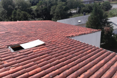 IMG-20190730-WA0008